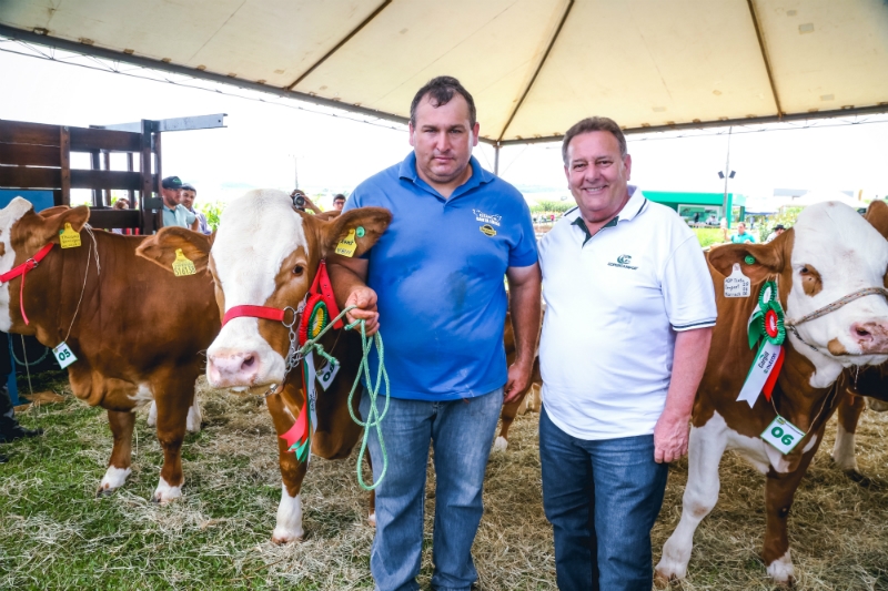 Conhecidos os grandes campeões da Raça Simental no 23º Dia de Campo Copercampos