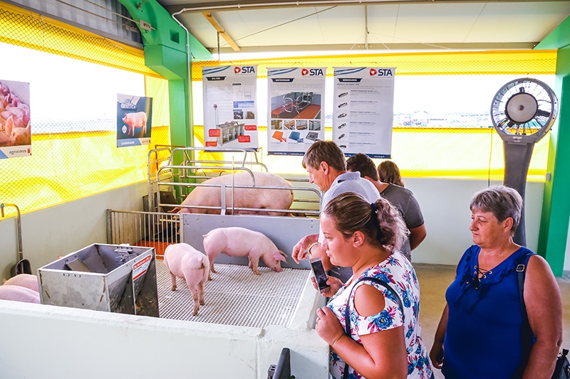 Agroindústria Copercampos apresenta Mini Granja durante 23º Dia de Campo