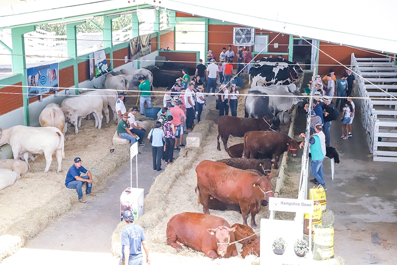 Mais de 5.800 conhecem as novidades do agro no 2º dia de Show Tecnológico