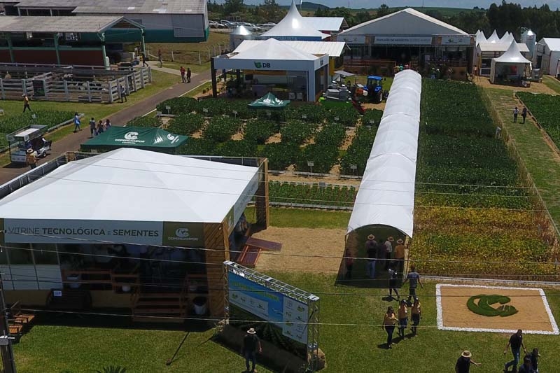 Vitrine Tecnológica apresenta trabalhos de pesquisa, além de cultivares de soja e lançamento em feijão