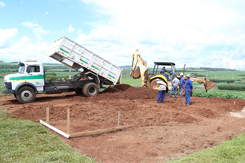 Suinocultura terá novo espaço no Dia de Campo Copercampos