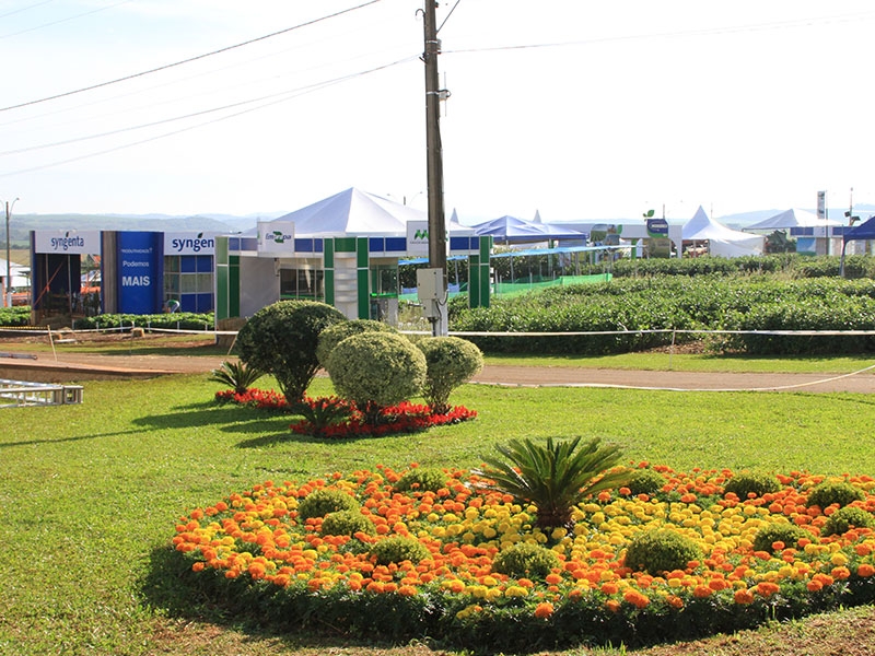 22º Dia de Campo Copercampos inicia nesta terça-feira (21/02)