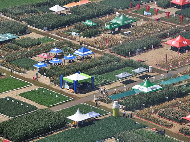 Continuam preparativos para o 21ª Dia de Campo Copercampos