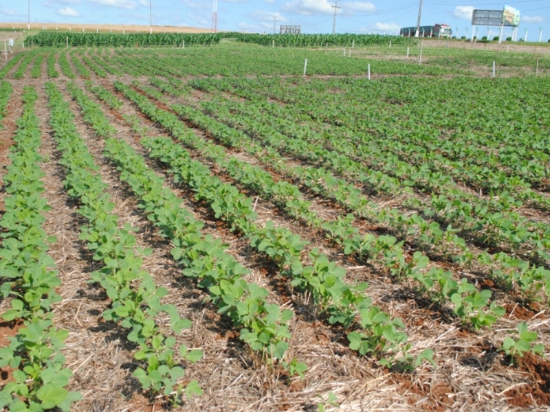 Validação e transferência de novas tecnologias ao homem do campo