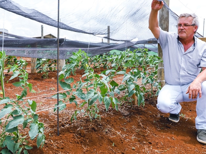 Área de hortaliças é uma das novidades do 24º Dia de Campo