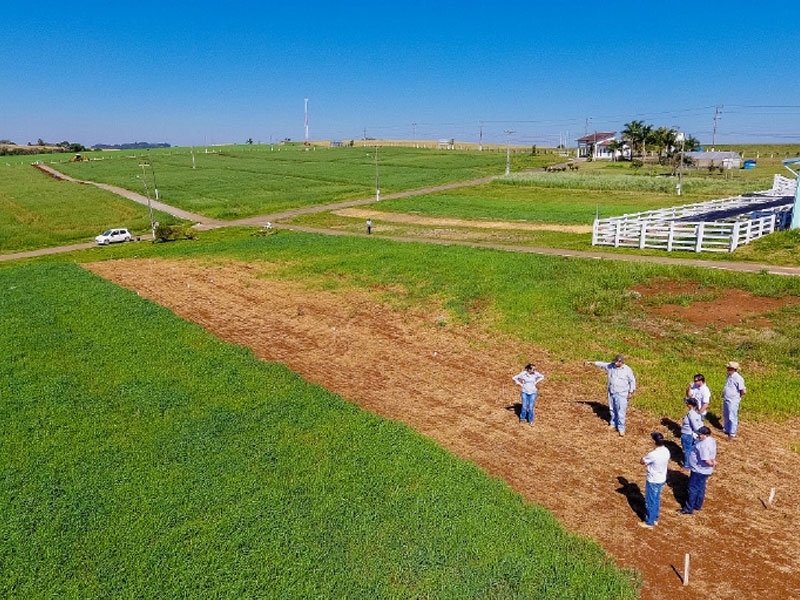 23º Dia de Campo Copercampos – Departamento Técnico terá novo espaço para apresentar novidades aos visitantes