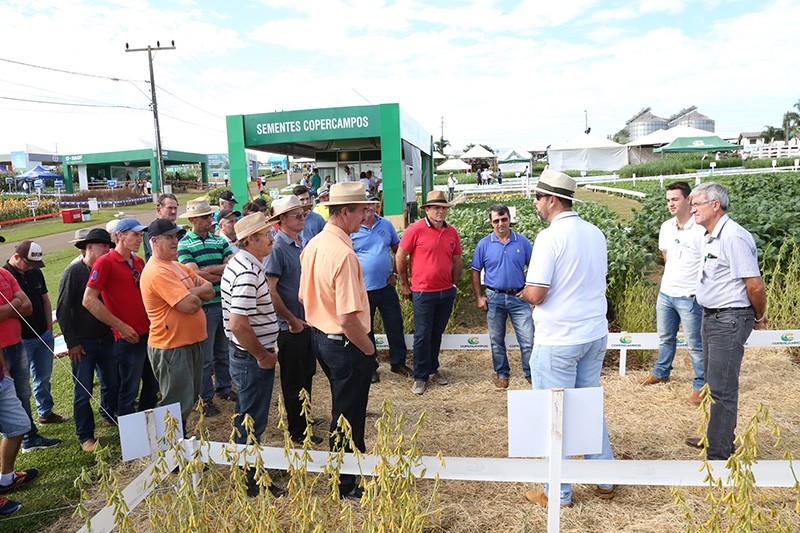 Público inicia visitação e busca conhecimento no 23º Dia de Campo Copercampos