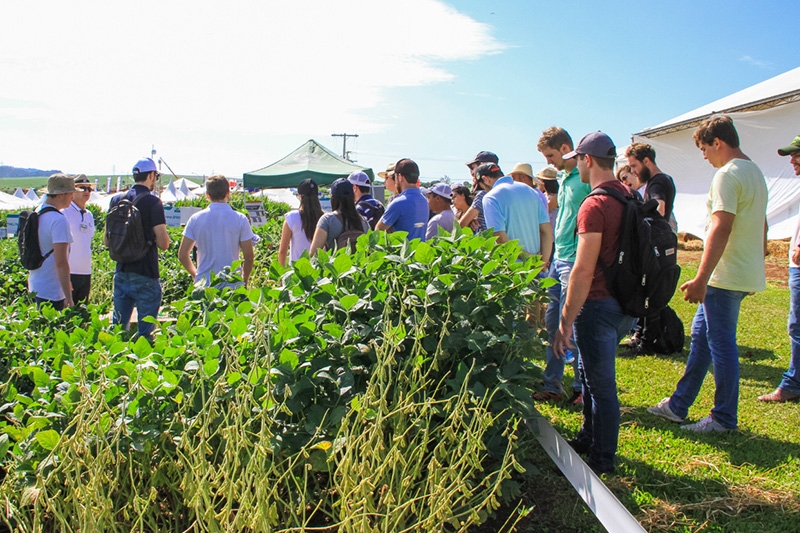 Definida a programação do 23º Dia de Campo Copercampos