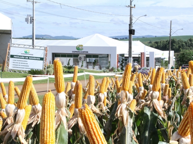 21º edição do Dia de Campo Copercampos começa nesta terça-feira (23)