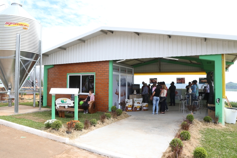 Mini Granja de Suínos é atração no 24º Dia de Campo Copercampos