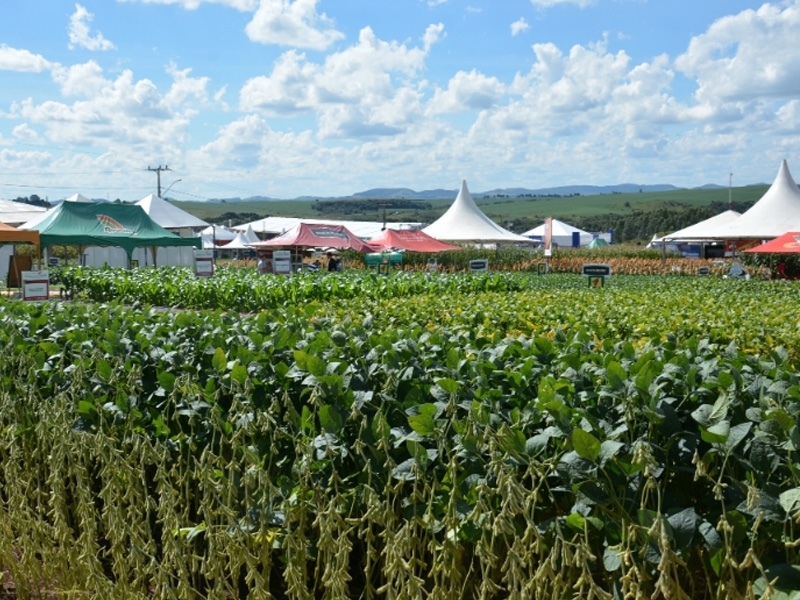 21º Dia de Campo Copercampos: Vitrine Tecnológica