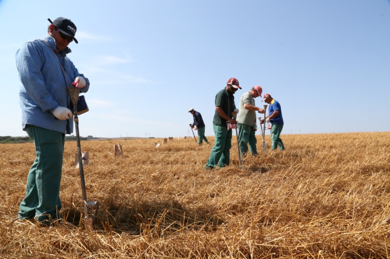 CD – Um espaço para ensaios de competição de cultivares